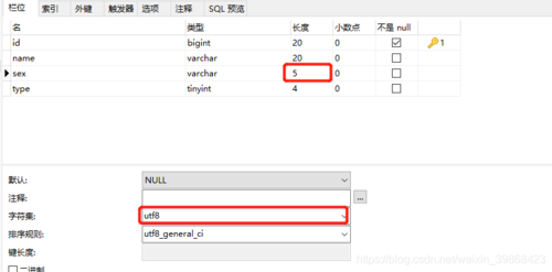 mysql set 参数 varchar