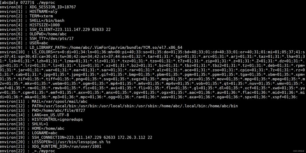 No kernel cache 参数