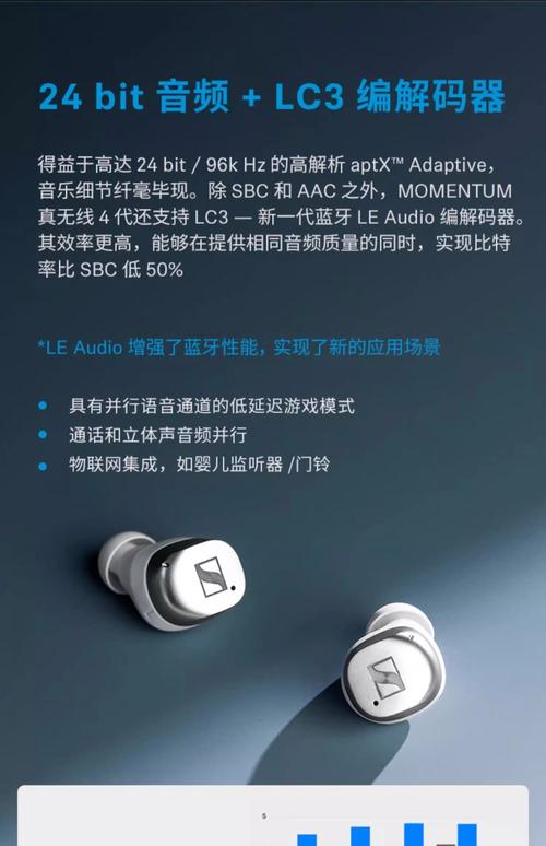momentum in ear 参数