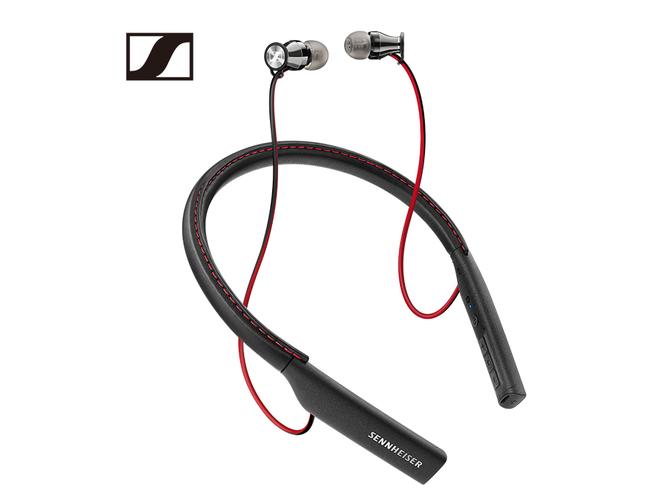 momentum in ear 参数