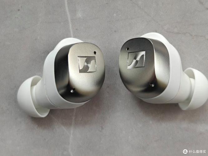 momentum in ear 参数
