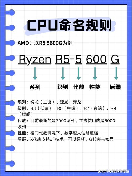 intel gma 3100 参数