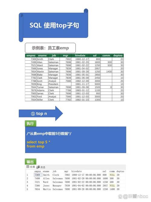 sql server top 参数