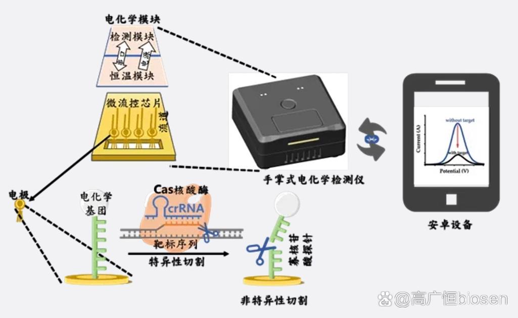 powerdns 智能解析