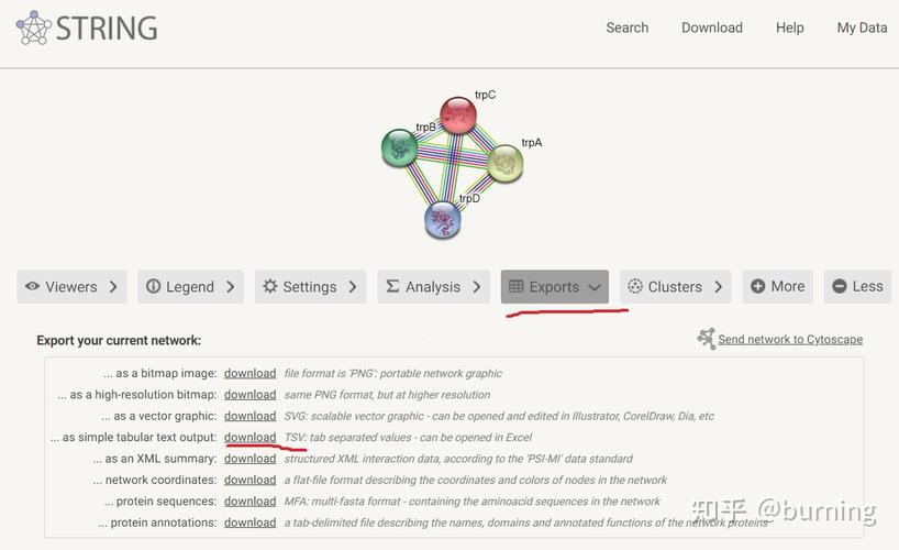 string format 参数