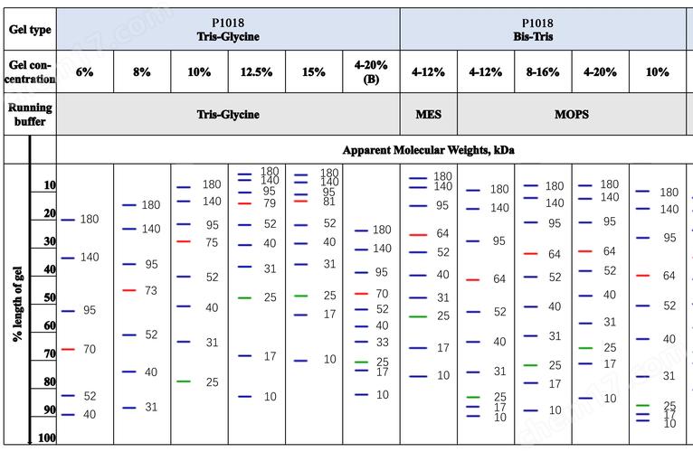 oledbparameter 参数
