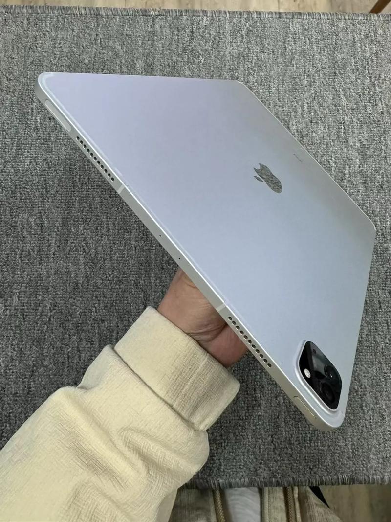 ipad 12.9 512 参数