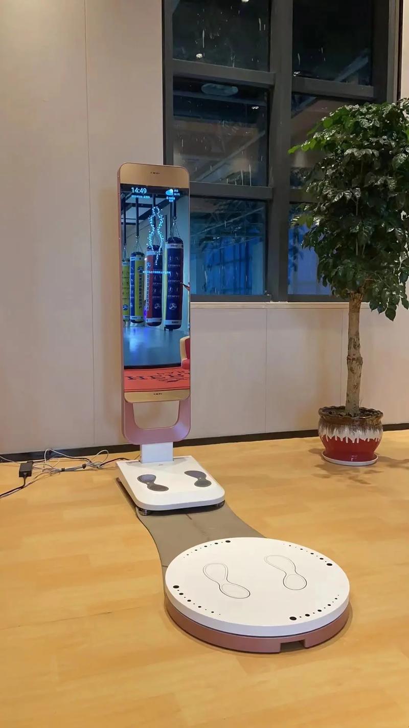 智能体质分析仪 ryfit