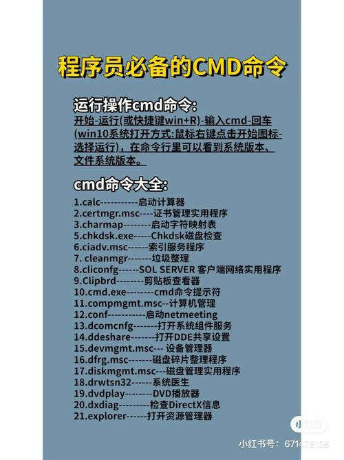 docker exec 命令参数