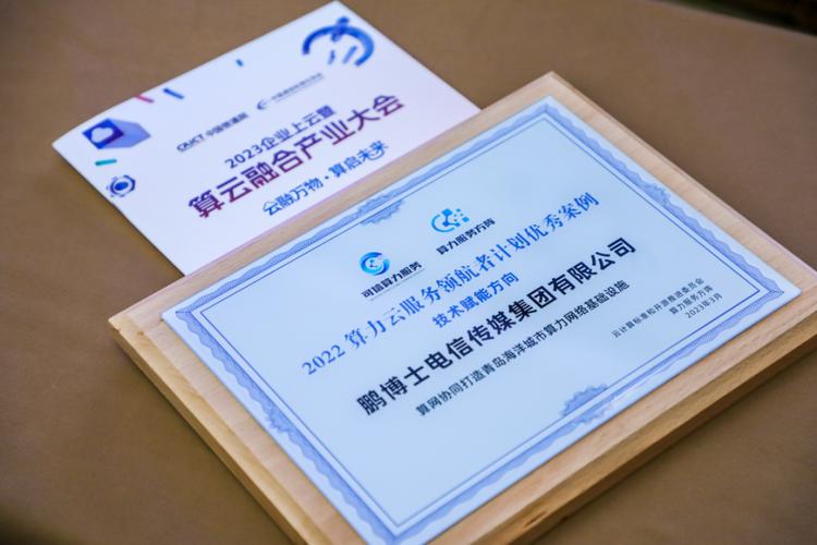 鹏博士智能系统工程有限公司