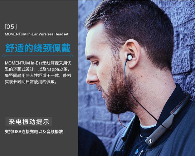 momentum inear参数