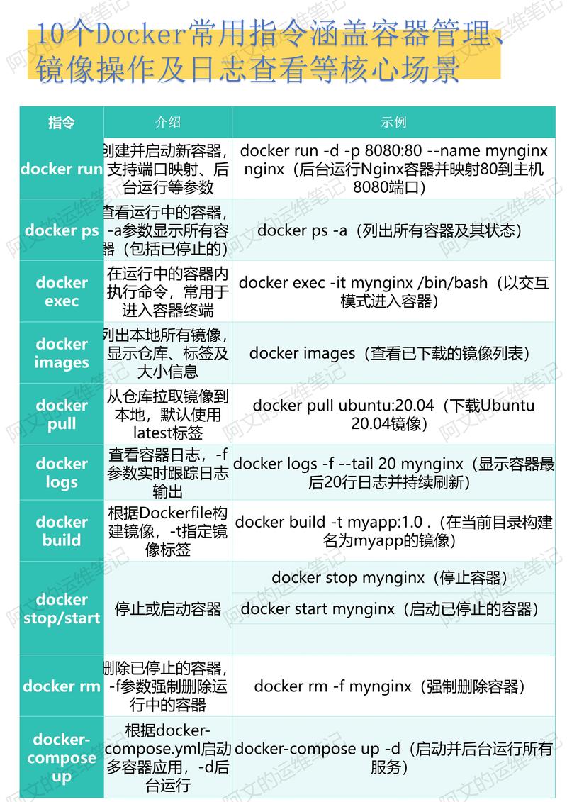 docker import 参数
