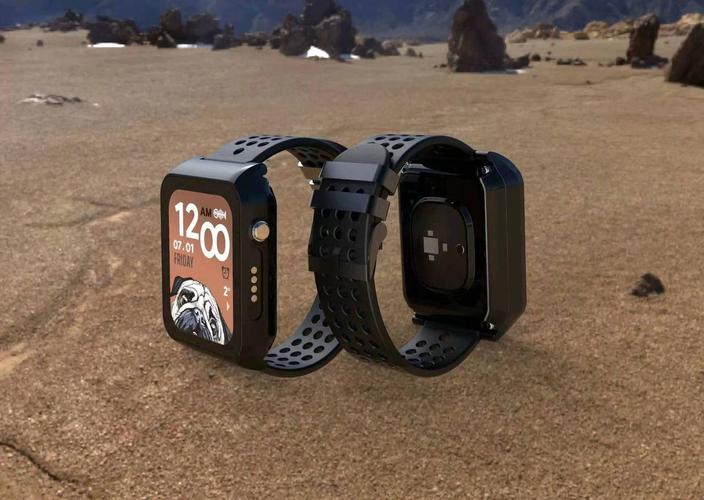 带gps定位的智能手环