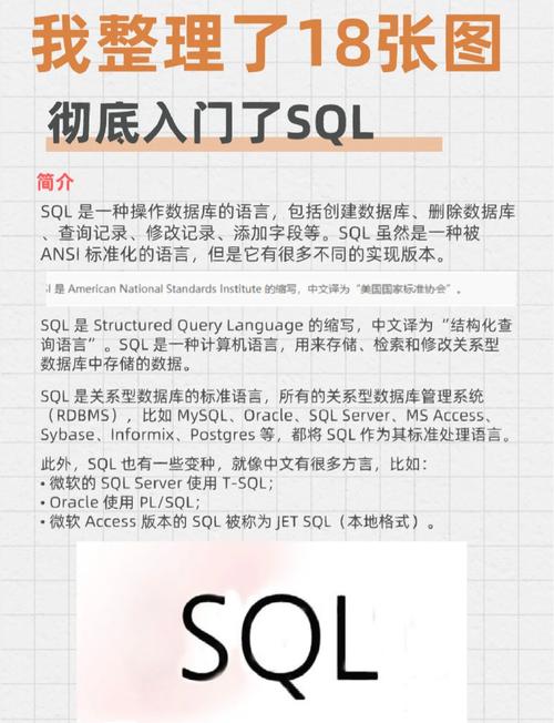 sql insert 参数化