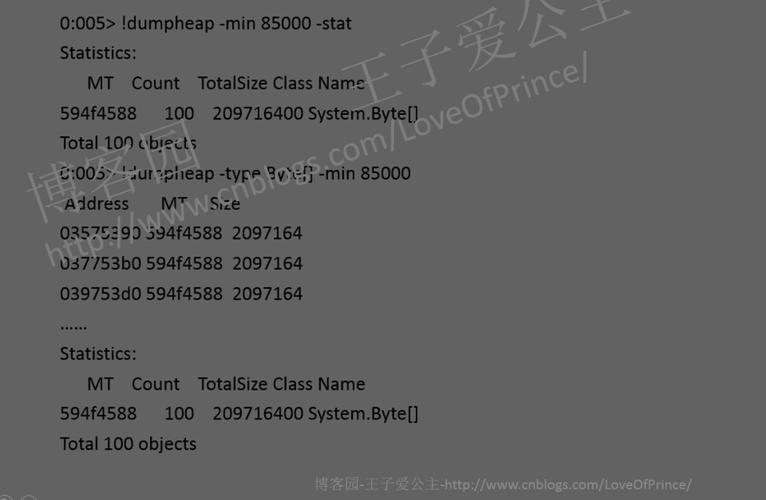 windbg 查看dump参数