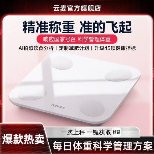 好轻mini智能体脂秤