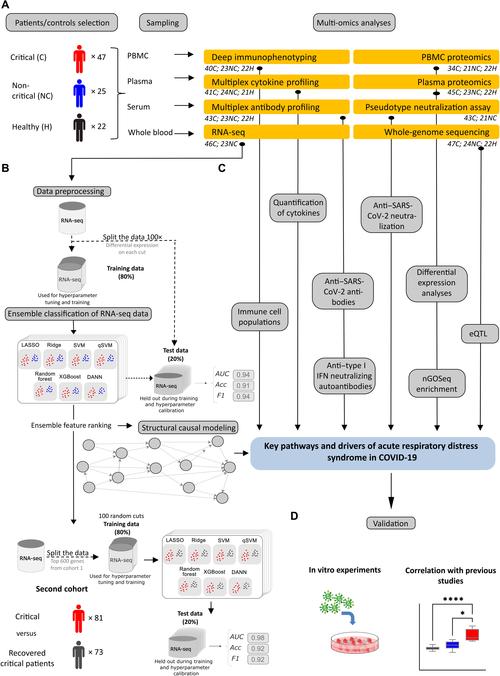 solaris 查看 内核参数