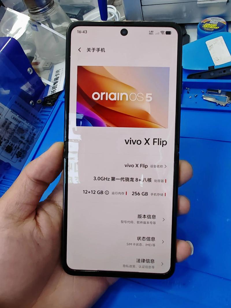 手机vivoxplay英文参数