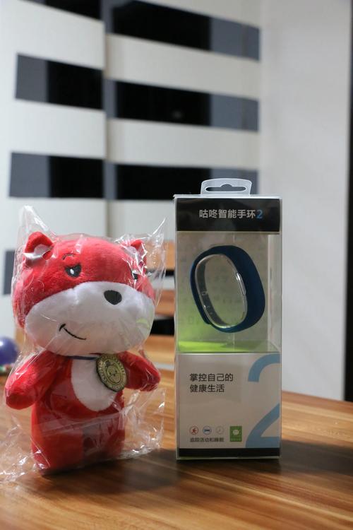 咕咚智能手环2 说明书