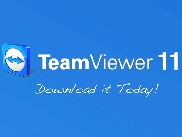teamviewer i参数