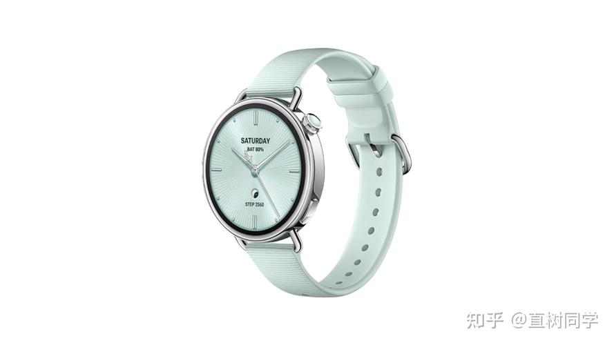 2025 国产智能手表