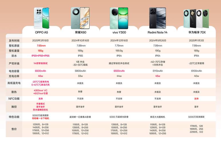 vivoxplay5的配置参数