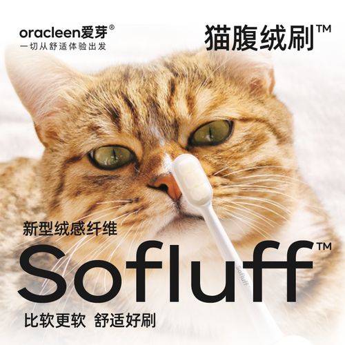 oracleen智能牙刷参数