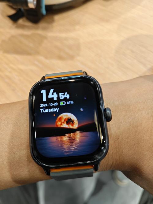 vivo智能手表多少钱