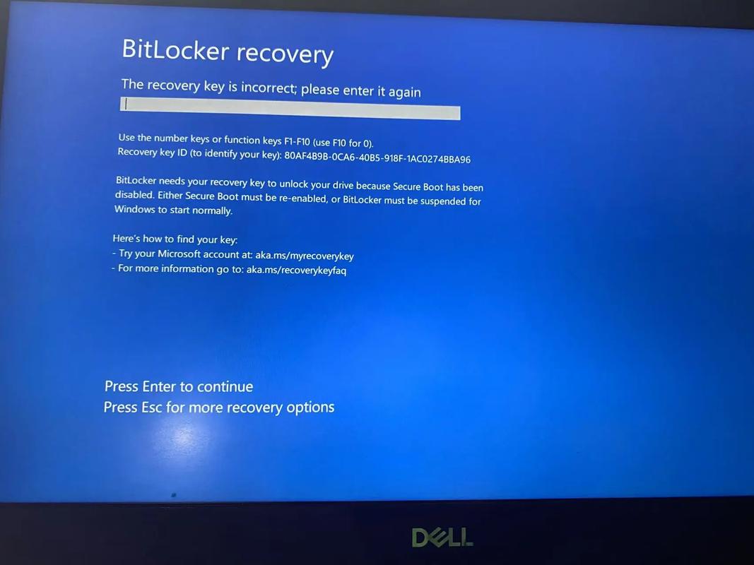 bitlocker 参数错误