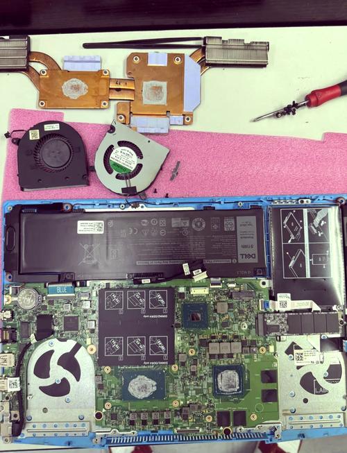 戴尔 dell xps拆机教程