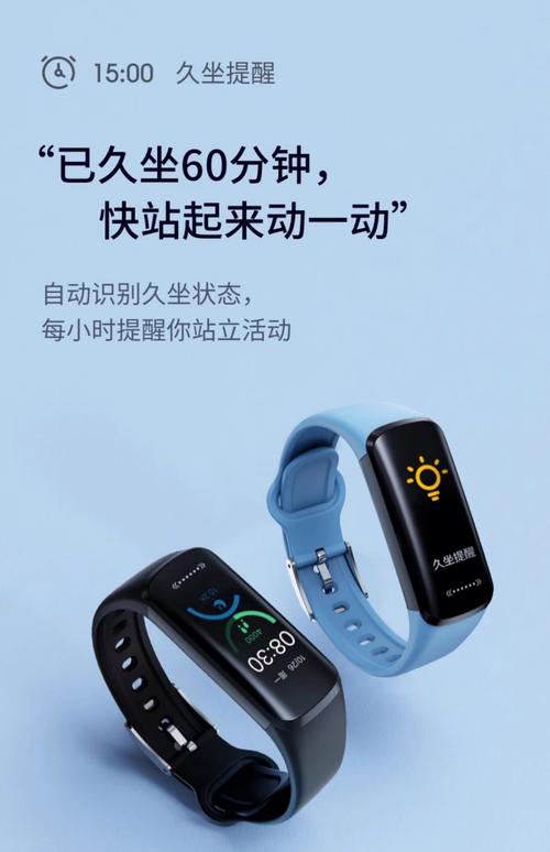 智能手环都育什么功能