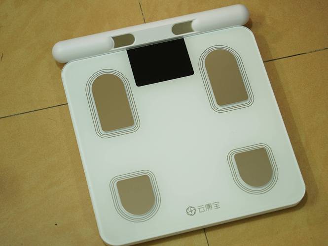 智能体脂称什么牌子好