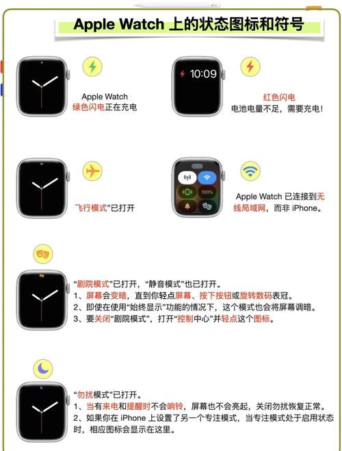 苹果的智能手表怎么用