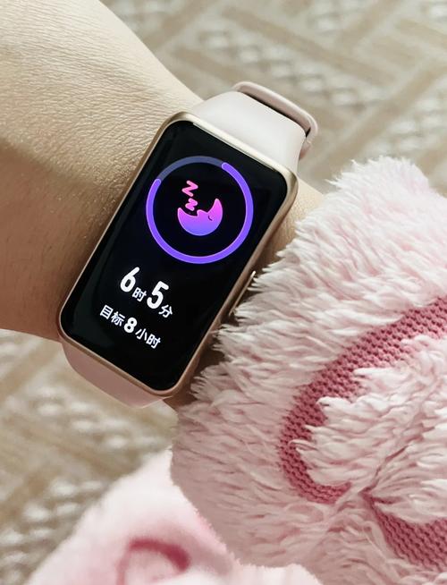 带时间显示的智能手环