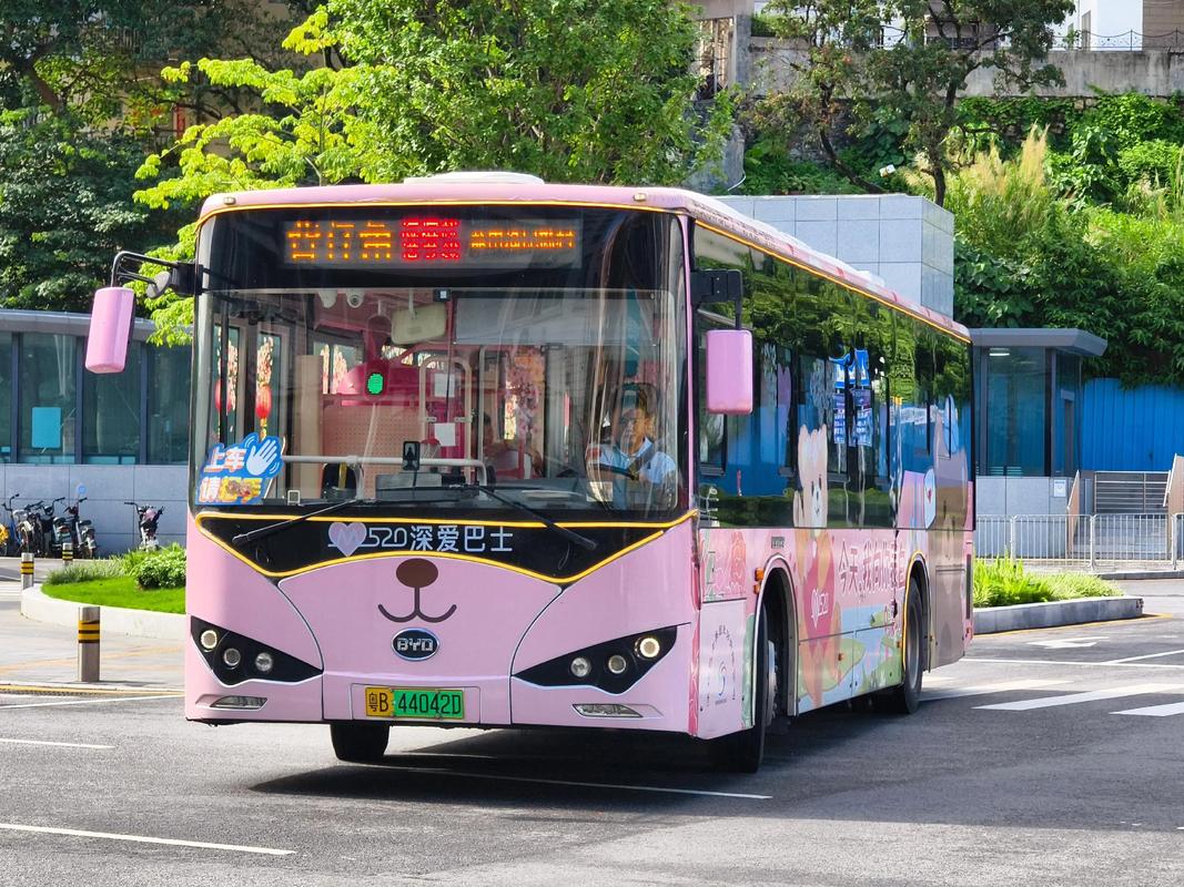 车普智能共享汽车深圳