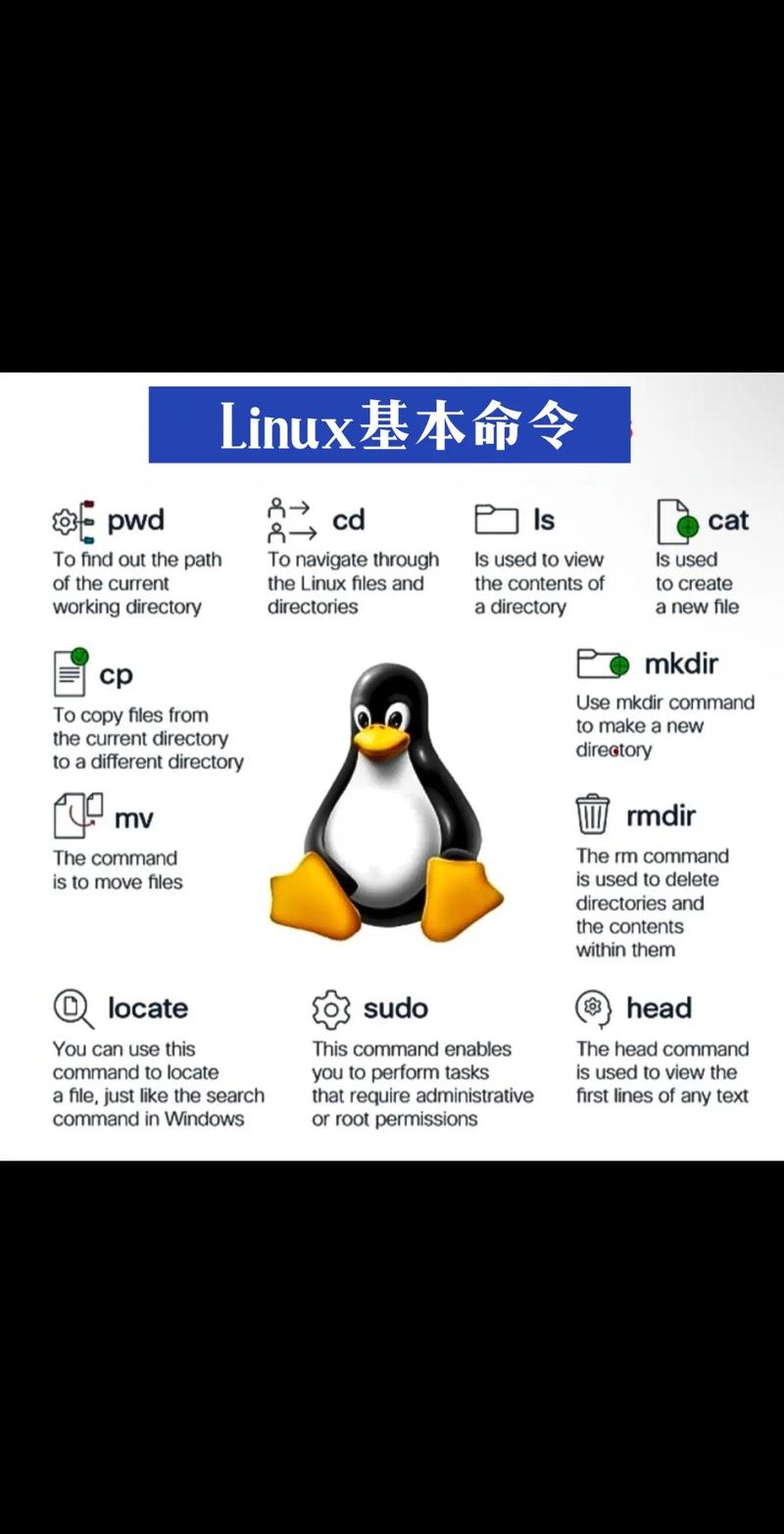 linux cp 默认参数