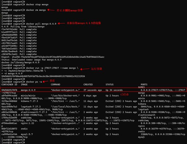 docker 容器启动参数